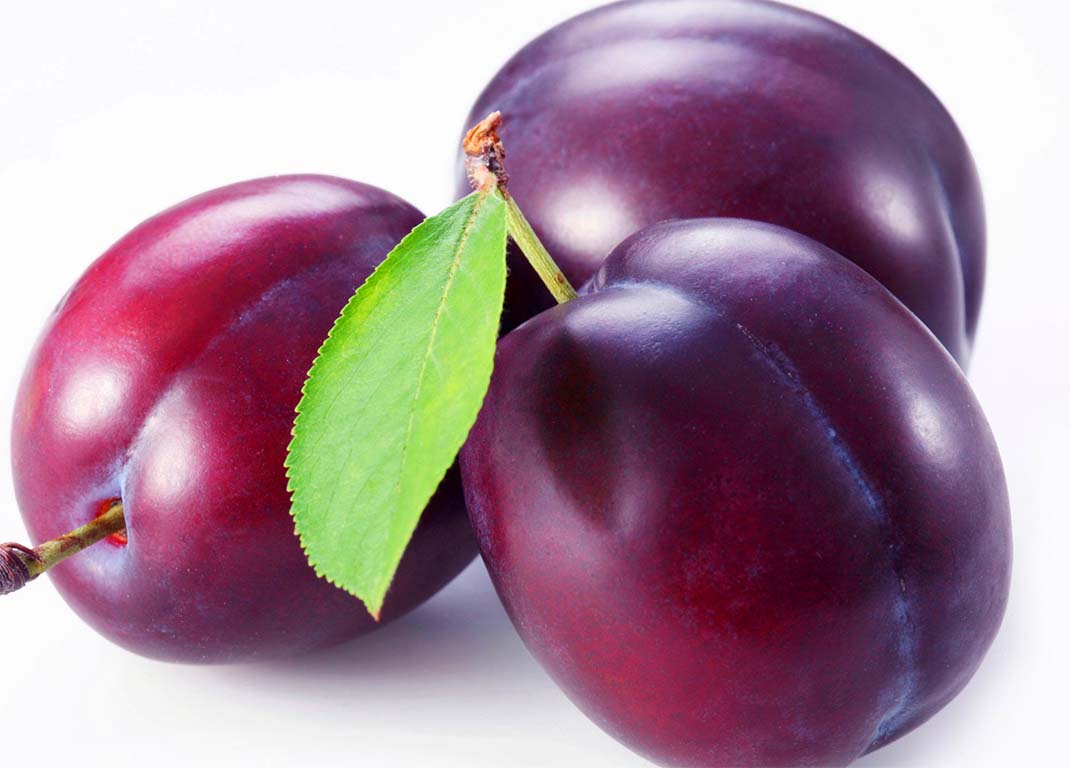 Plum Fruit Health Benefits and Nutritional Values TheFitLive