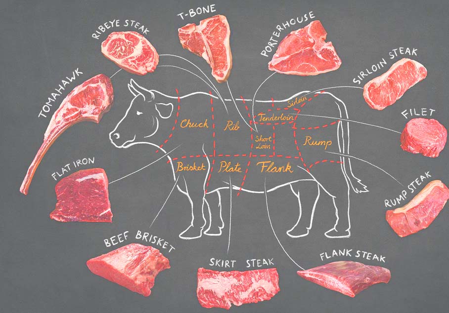 what animal is steak?